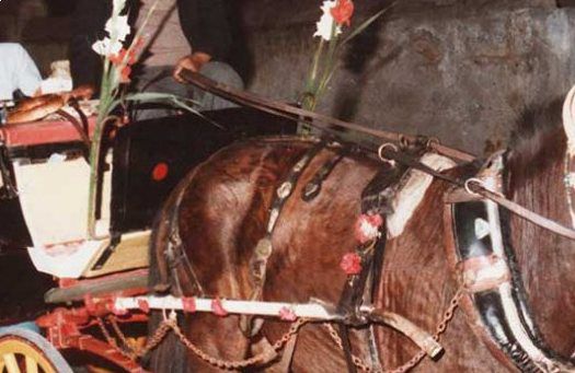 Grandfather driving, father & mother at the back with the young then Stavros