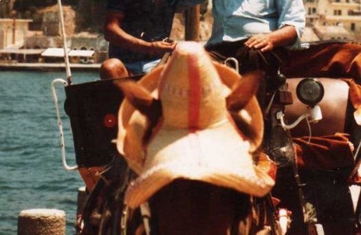 Grandfather in the harbour