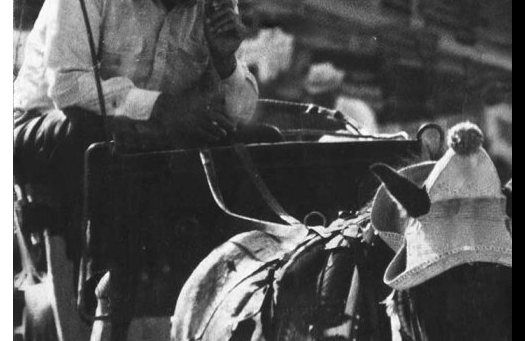 Grandfather on the carriage smeling his tobacco 