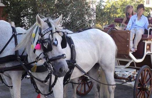 Carriage outside the residence